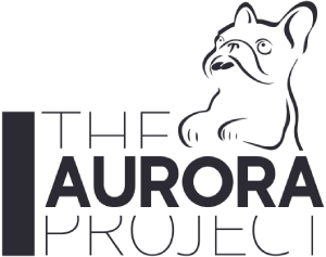 The Aurora Project