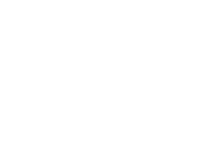 The Aurora Project